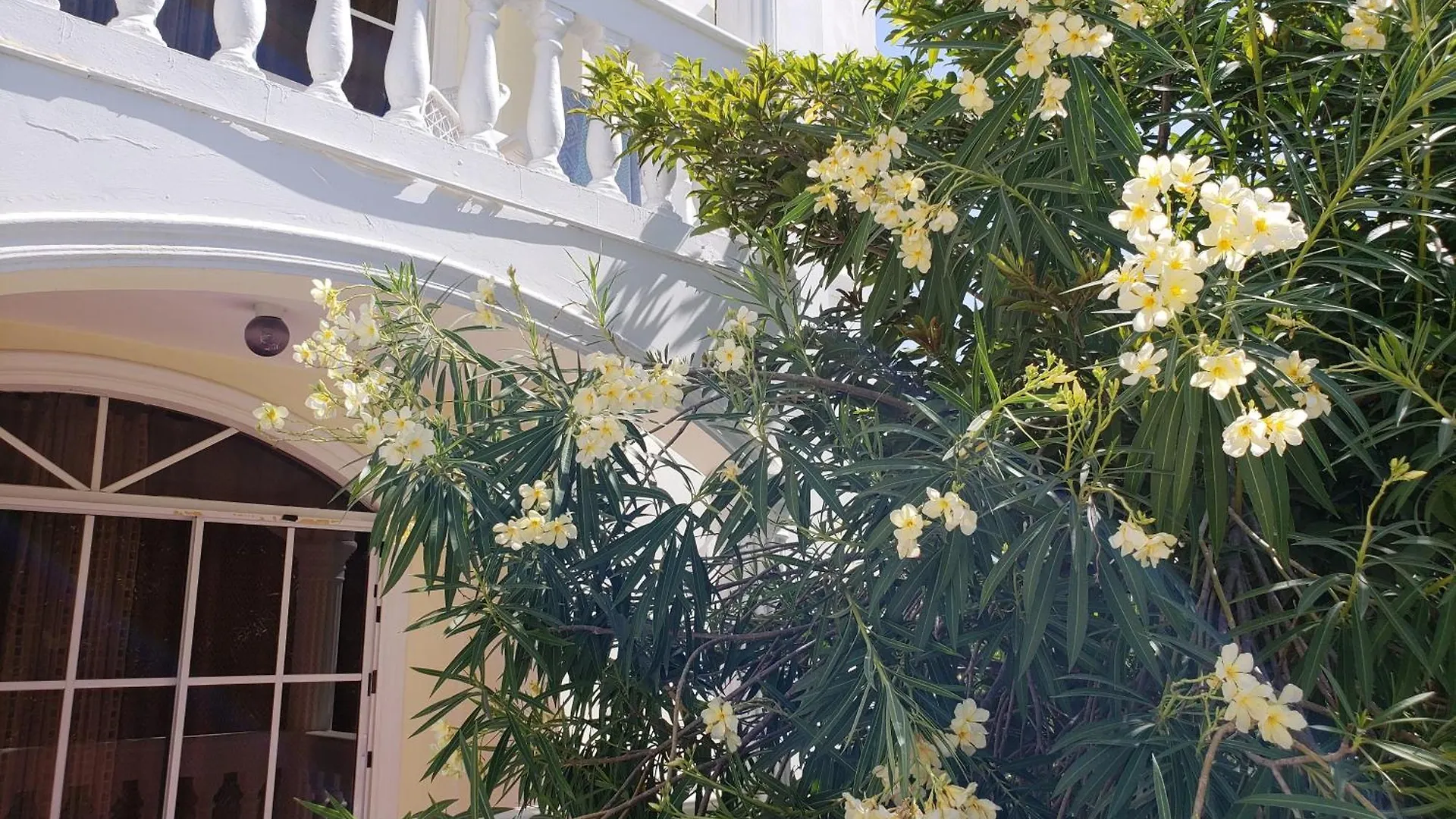 Costambar Beach Seaside Apartment Puerto Plata